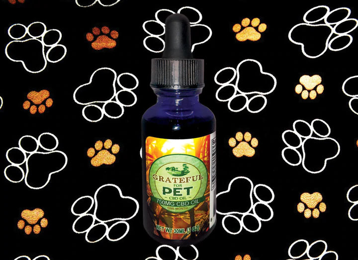 What to Consider While Buying CBD Pets Products?