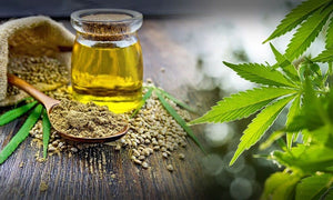 differences between hemp cbd and cannabis cbd